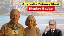 Australia Rules for Over 62 Drivers 2025: Reform introduces visible licence badges for drivers aged 62 plus across all states