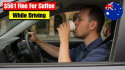 Coffee at the wheel in Queensland – $561 fine claim tested against distracted-driving and careless-driving laws